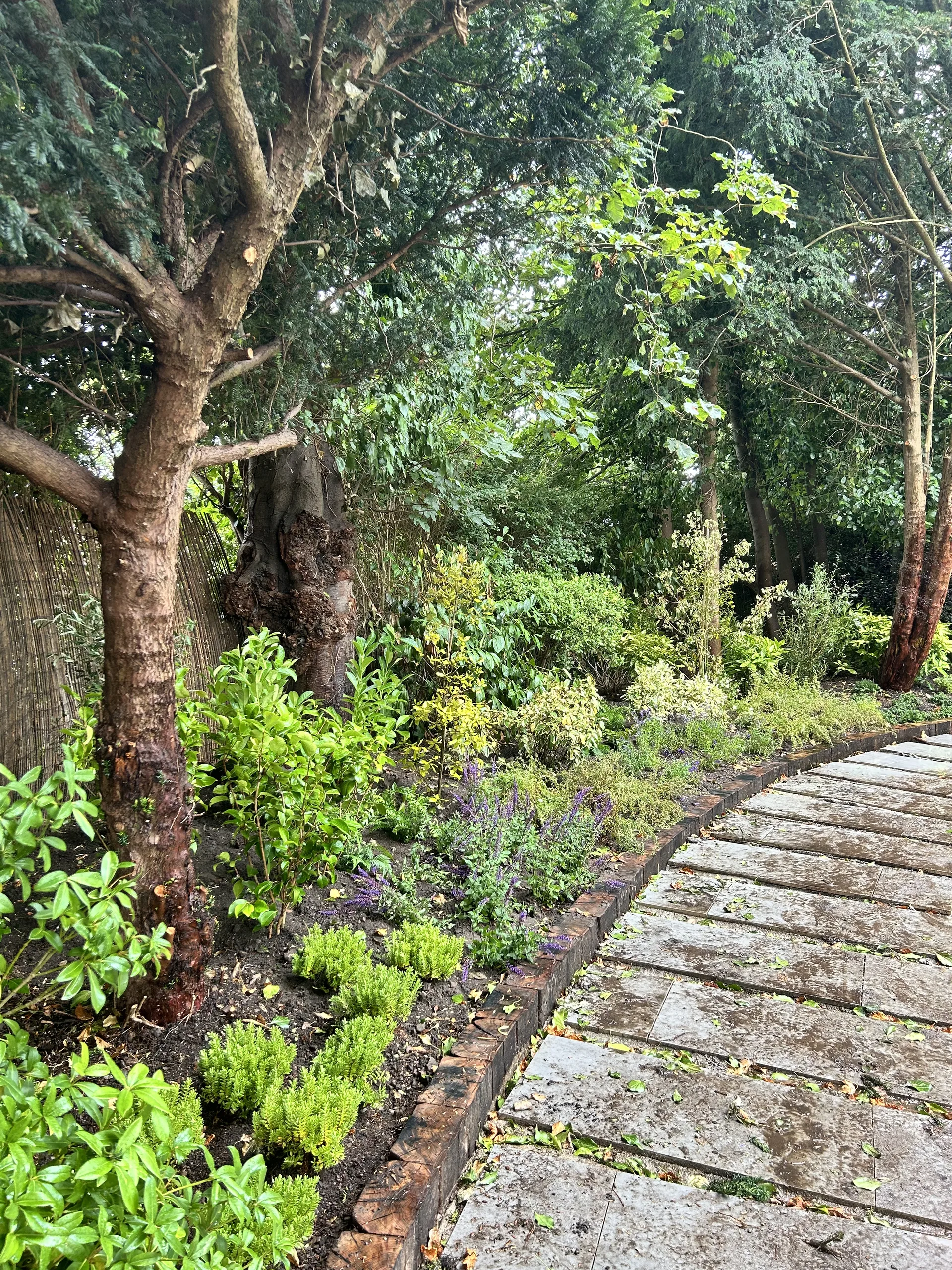 Soft landscaping work in Stockport (2)